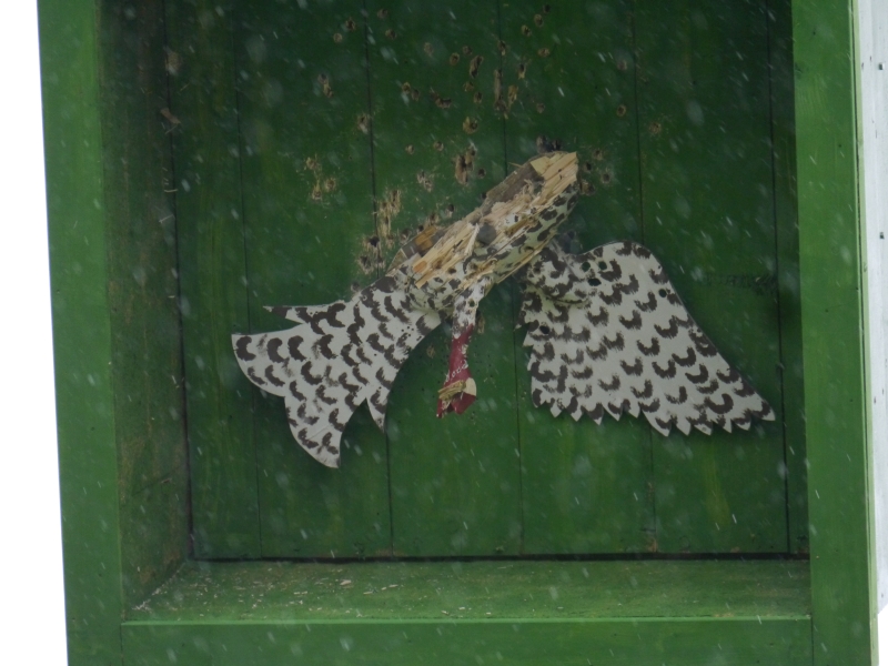 P1060093